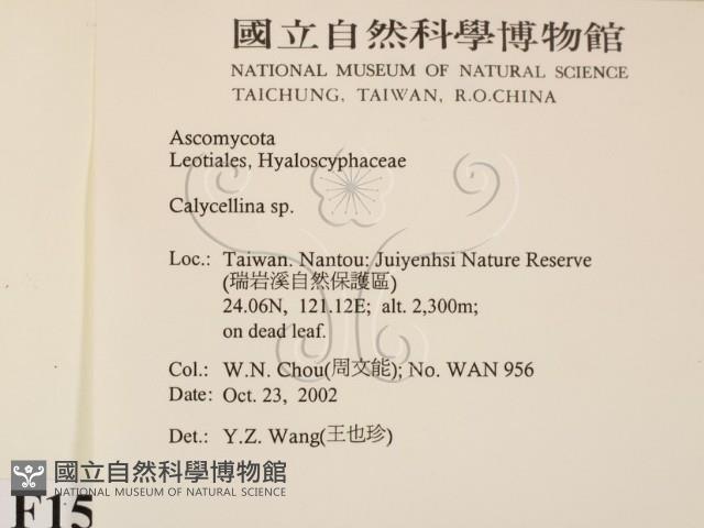 登錄號:F0015027藏品圖，第2張
