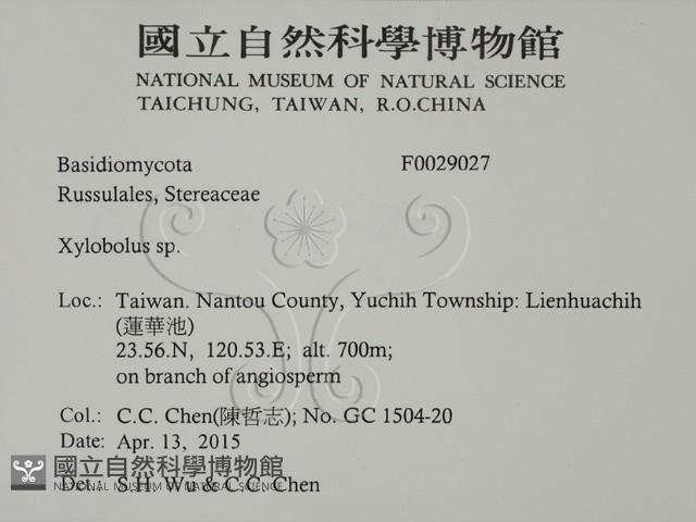 登錄號:F0029027藏品圖，第2張