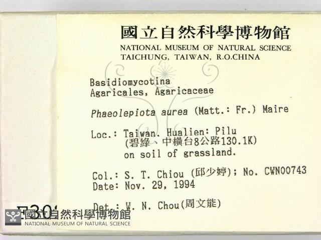 登錄號:F0003027藏品圖，第2張