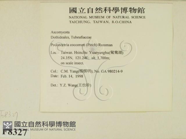 登錄號:F0008327藏品圖，第2張