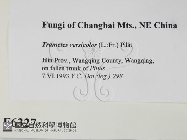 雲芝藏品圖，第2張