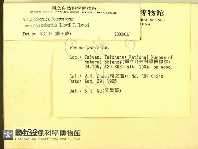 登錄號:F0004327藏品圖，第2張