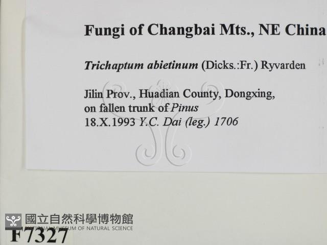 登錄號:F0007327藏品圖，第2張