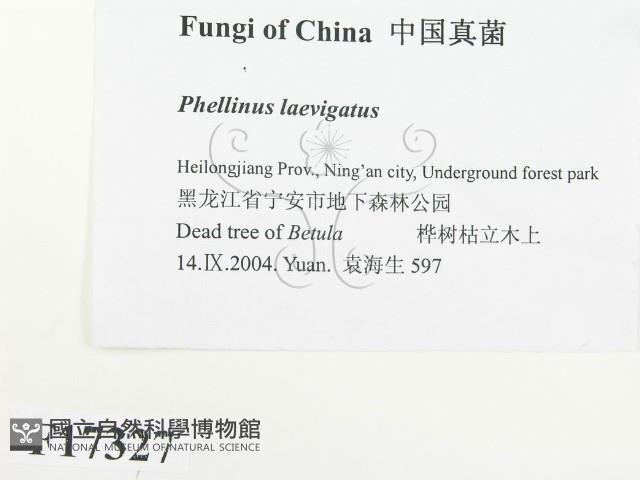 登錄號:F0017327藏品圖，第2張