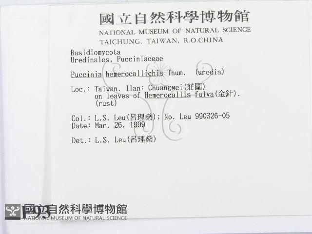 登錄號:F0009327藏品圖，第2張