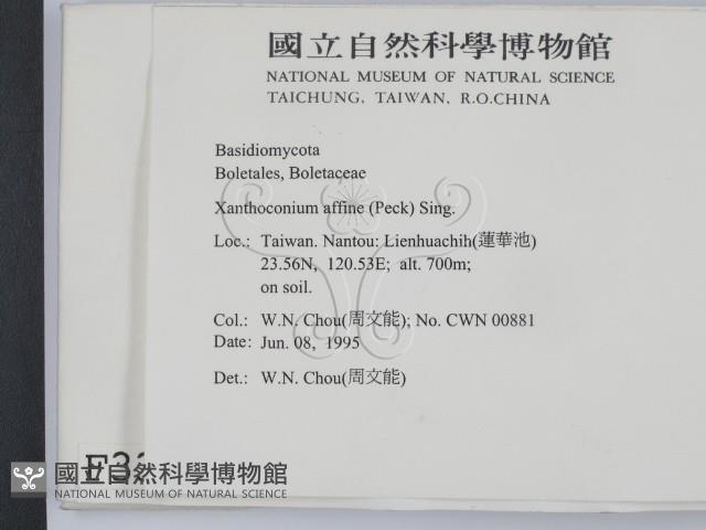 登錄號:F0003327藏品圖，第2張