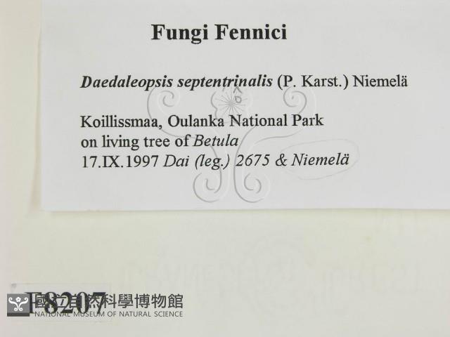 登錄號:F0008207藏品圖，第2張