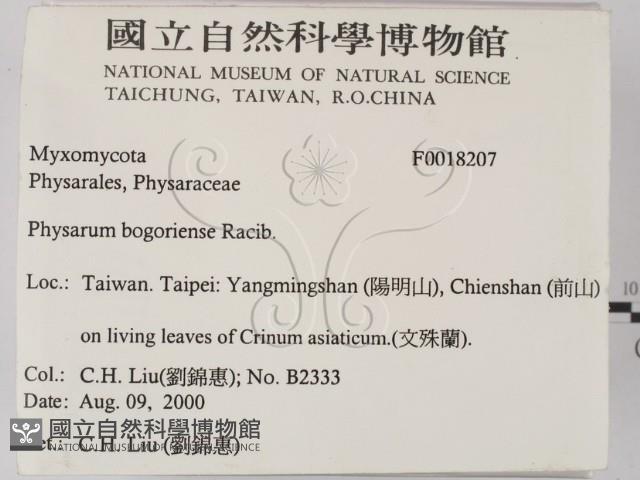 登錄號:F0018207藏品圖，第2張
