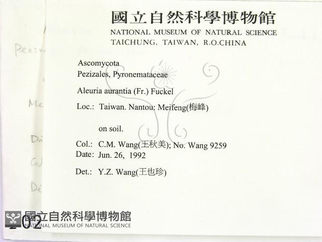 登錄號:F0000207藏品圖，第2張