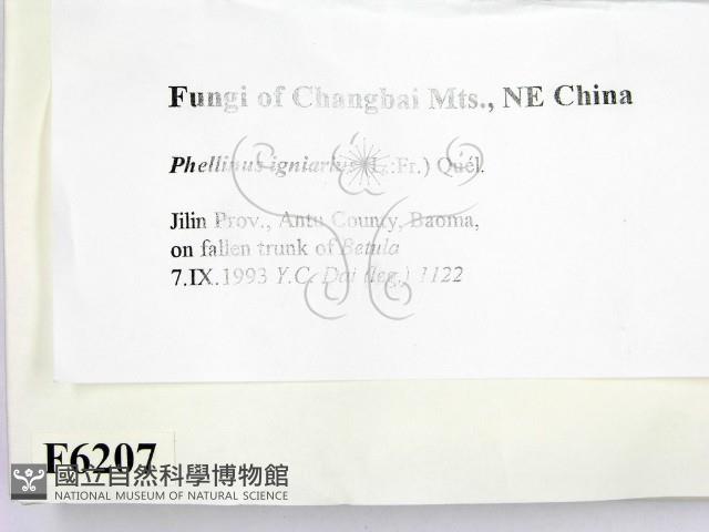 登錄號:F0006207藏品圖，第2張