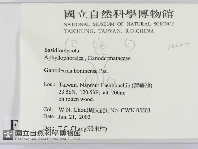 登錄號:F0016207藏品圖，第2張