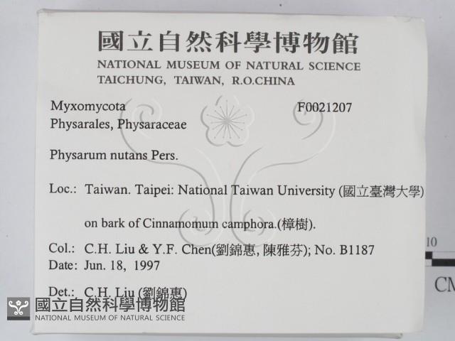 登錄號:F0021207藏品圖，第2張