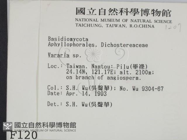登錄號:F0001207藏品圖，第2張