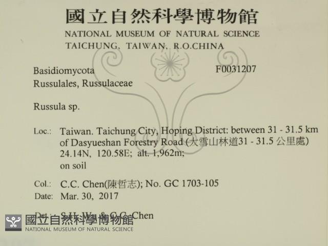 Accession Number:F0031207 Collection Image, Figure 2, Total 3 Figures