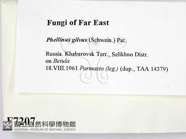 登錄號:F0007207藏品圖，第2張