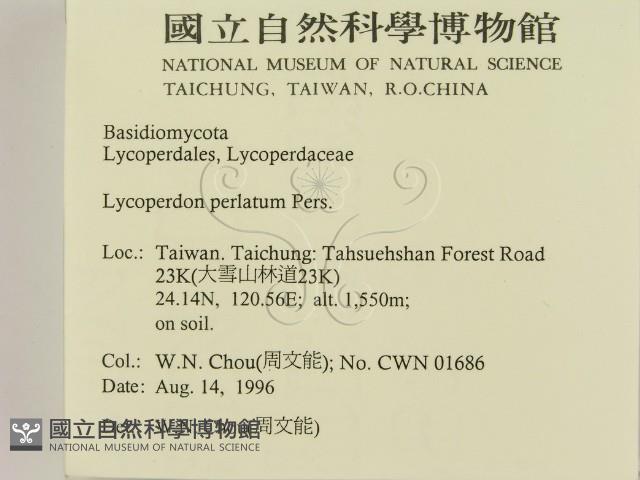 登錄號:F0005207藏品圖，第2張