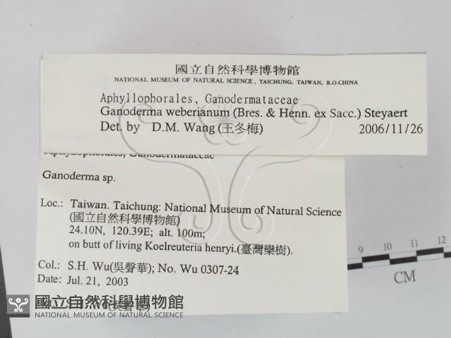 登錄號:F0015207藏品圖，第2張