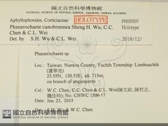 登錄號:F0029207藏品圖，第2張