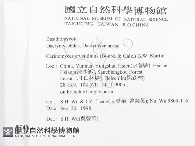 登錄號:F0009207藏品圖，第2張