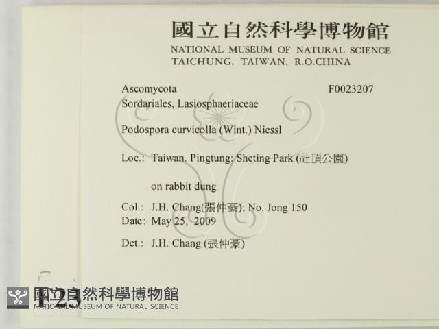 登錄號:F0023207藏品圖，第2張