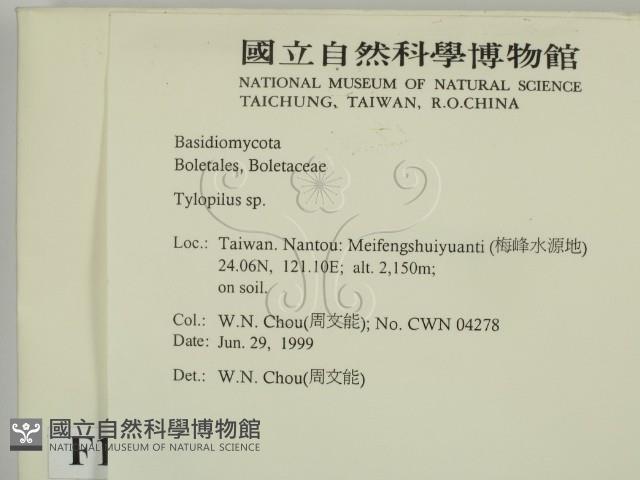 登錄號:F0013207藏品圖，第2張