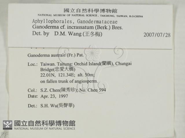 登錄號:F0008807藏品圖，第2張