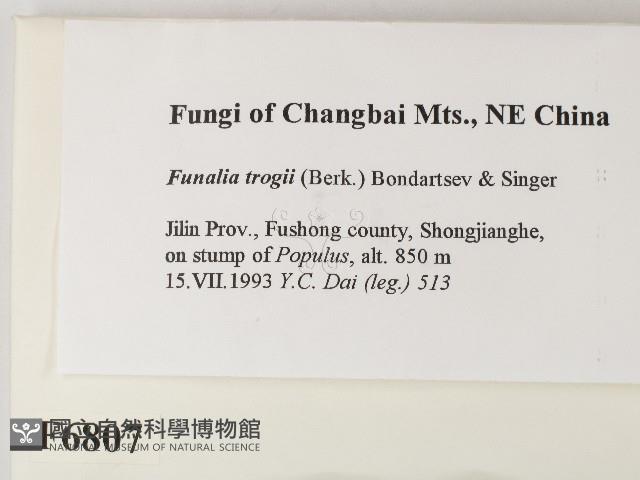 登錄號:F0006807藏品圖，第2張