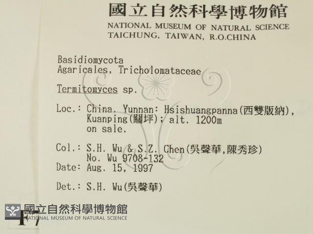 登錄號:F0007807藏品圖，第2張