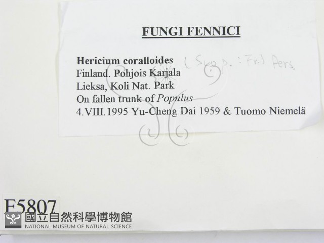 登錄號:F0005807藏品圖，第2張