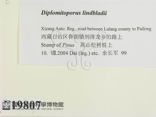 登錄號:F0019807藏品圖，第2張