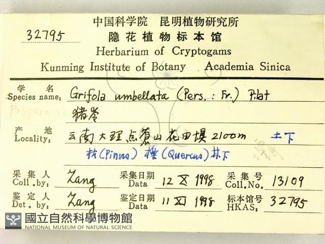 登錄號:F0008907藏品圖，第2張