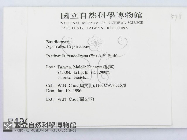 登錄號:F0004907藏品圖，第2張