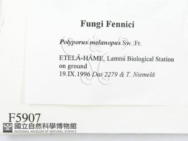 登錄號:F0005907藏品圖，第2張