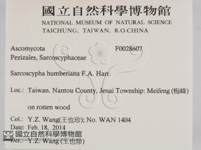 登錄號:F0028607藏品圖，第2張