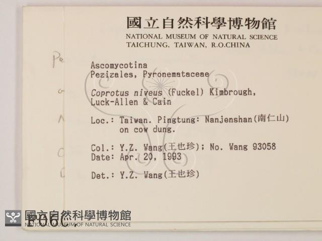 登錄號:F0000607藏品圖，第2張