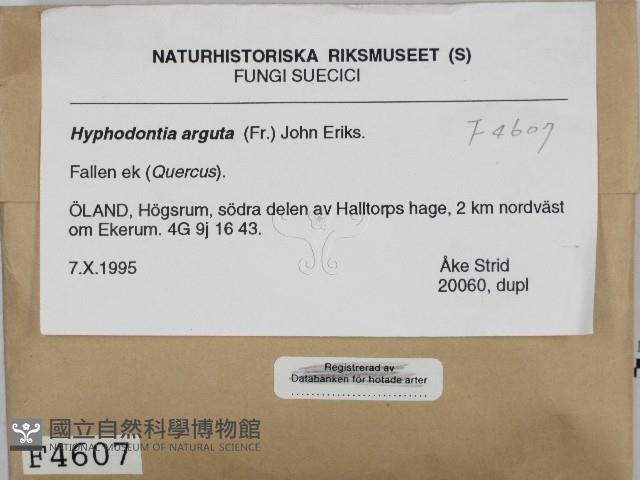 登錄號:F0004607藏品圖，第2張