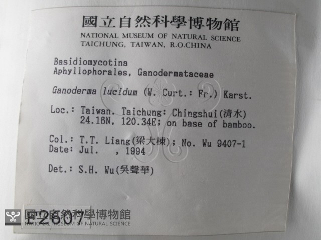 登錄號:F0002607藏品圖，第2張
