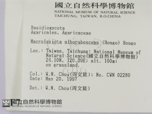 登錄號:F0007607藏品圖，第2張