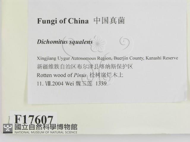 登錄號:F0017607藏品圖，第2張