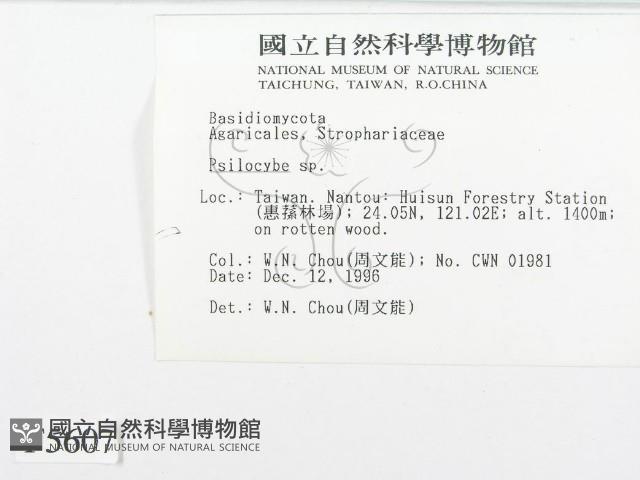 登錄號:F0005607藏品圖，第2張