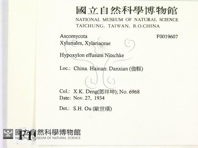登錄號:F0019607藏品圖，第2張