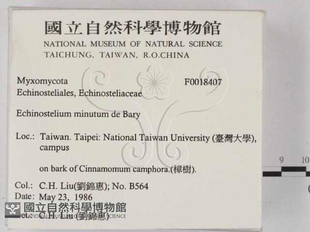 登錄號:F0018407藏品圖，第2張