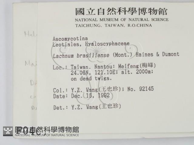 登錄號:F0000407藏品圖，第2張