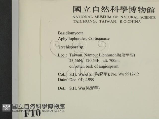登錄號:F0010407藏品圖，第2張