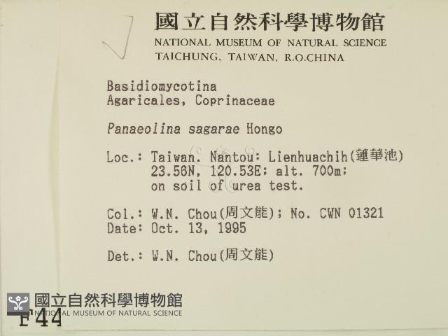 登錄號:F0004407藏品圖，第2張