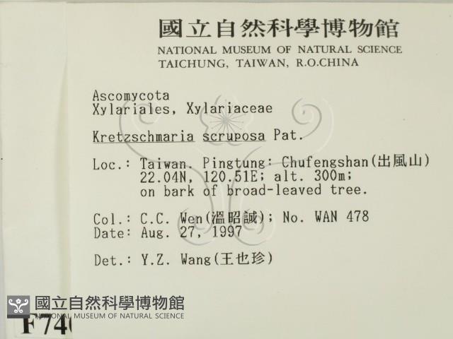 登錄號:F0007407藏品圖，第2張