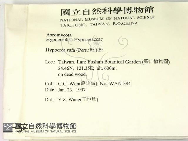 登錄號:F0005407藏品圖，第2張