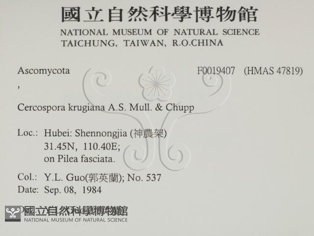 館號:F0019407藏品圖，第2張
