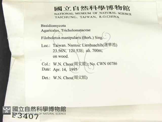 登錄號:F0003407藏品圖，第2張