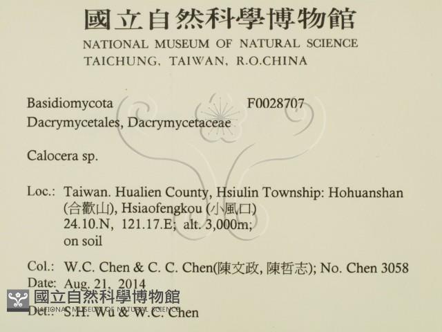 登錄號:F0028707藏品圖，第2張
